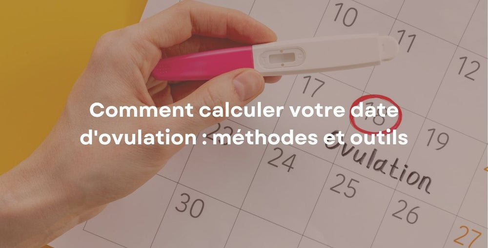 Comment calculer votre date d'ovulation : méthodes et outils