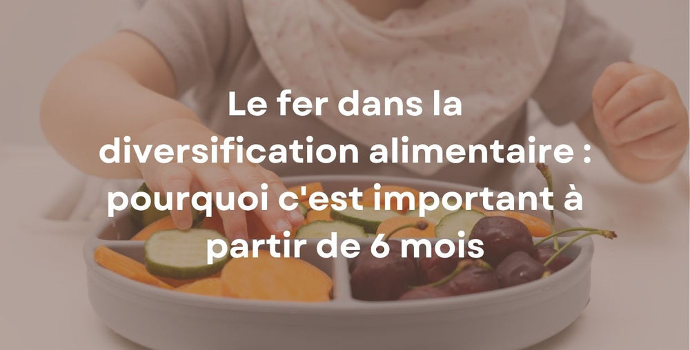 Le fer dans la diversification alimentaire : pourquoi c'est important à partir de 6 mois