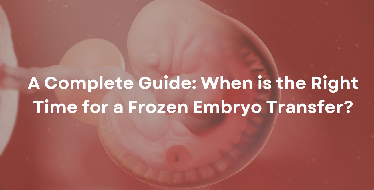 A Complete Guide: When is the Right Time for a Frozen Embryo Transfer?