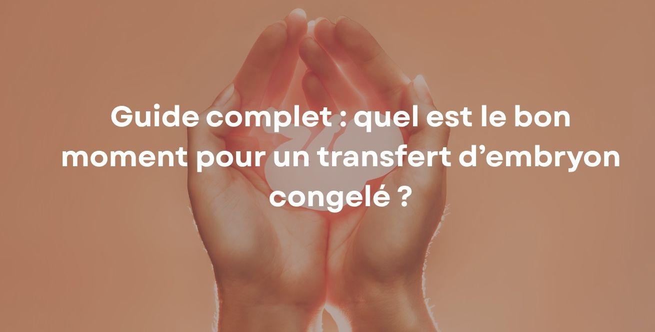 Guide complet : quel est le bon moment pour un transfert d’embryon congelé ?