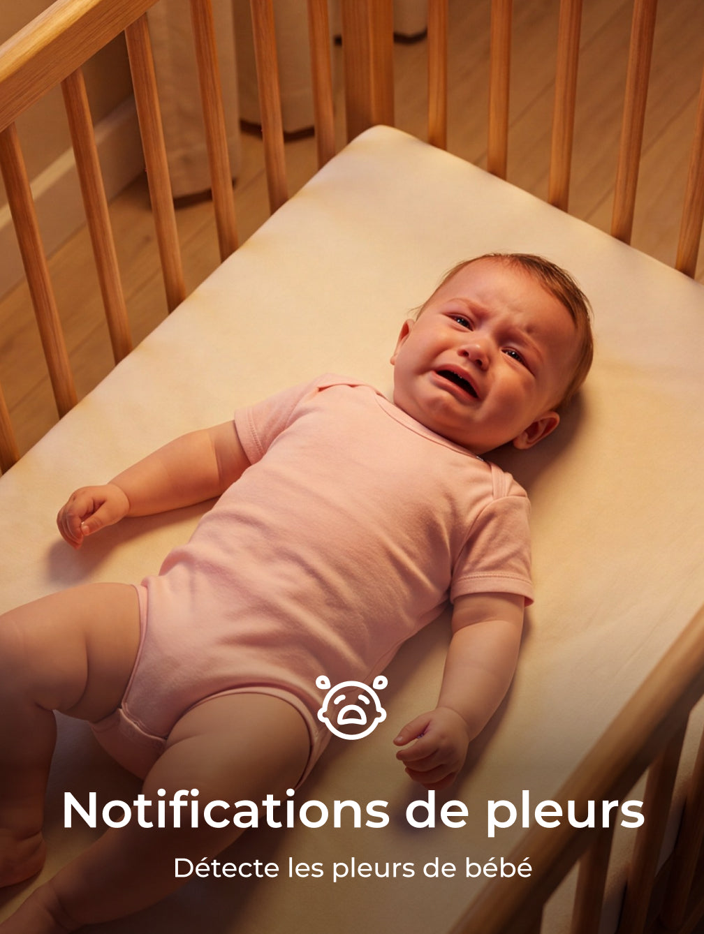 Translation missing: fr.Translation missing: fr.accessibility.image_fallback