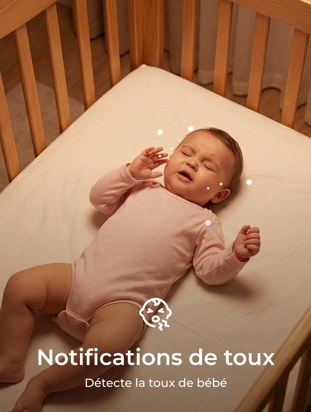 Translation missing: fr.Translation missing: fr.accessibility.image_fallback