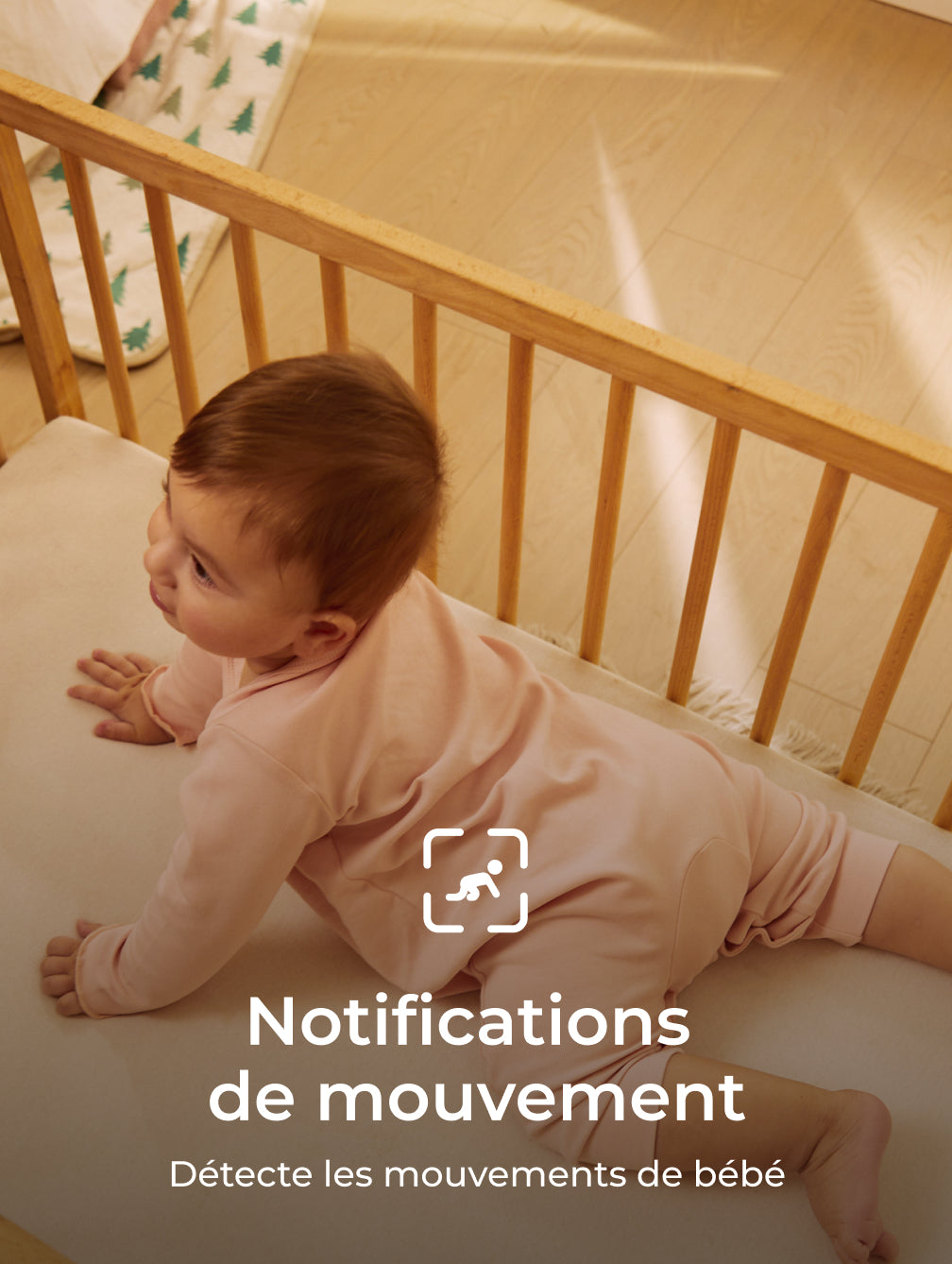 Translation missing: fr.accessibility.image_fallback
