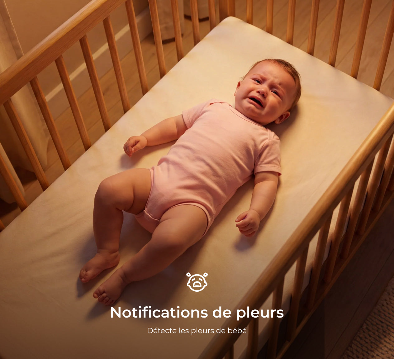 Translation missing: fr.accessibility.image_fallback