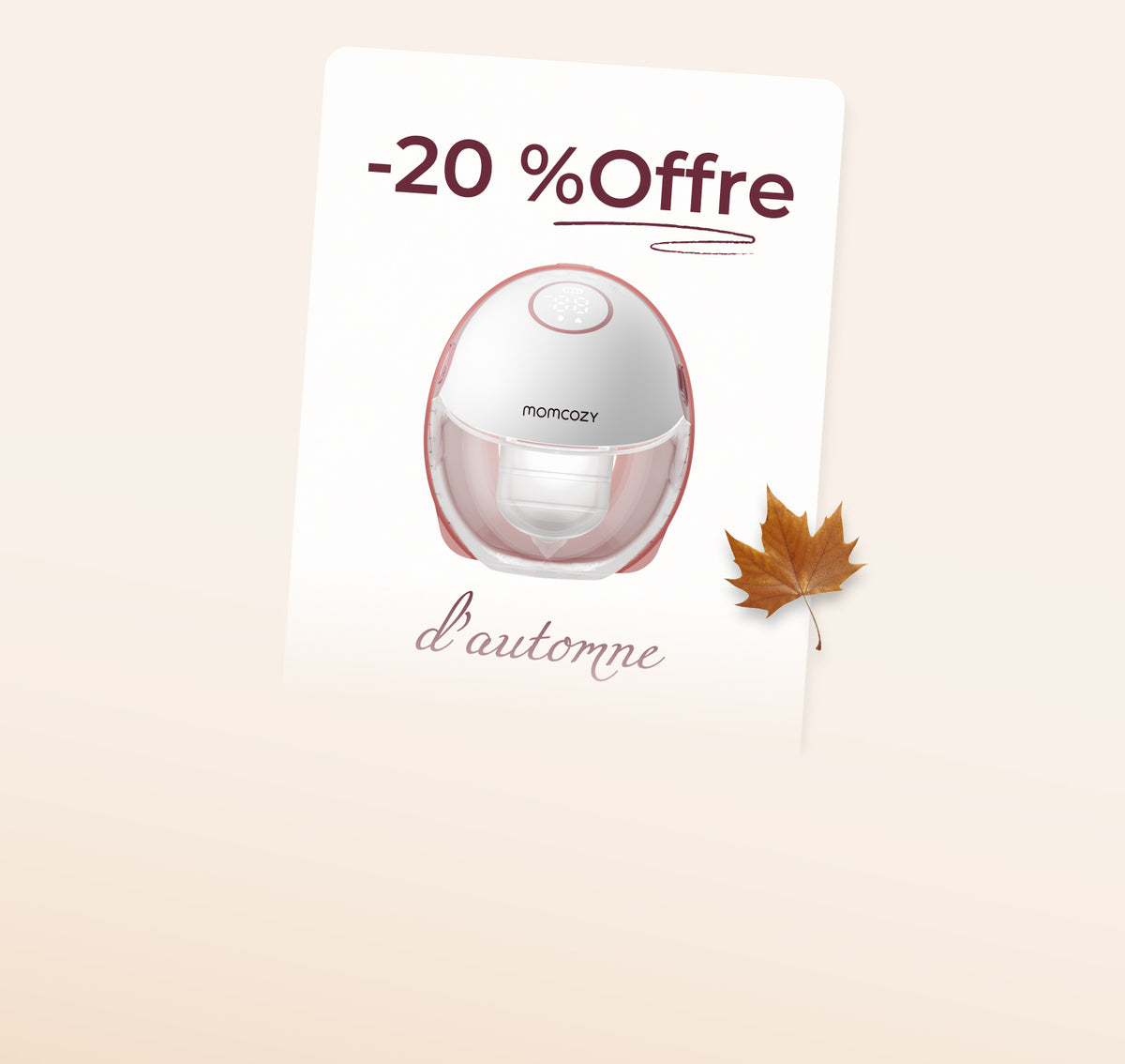-20 % sur les essentiels