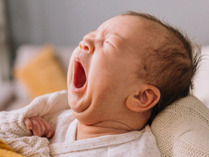 Maternity Pillow WifeItem PC Image