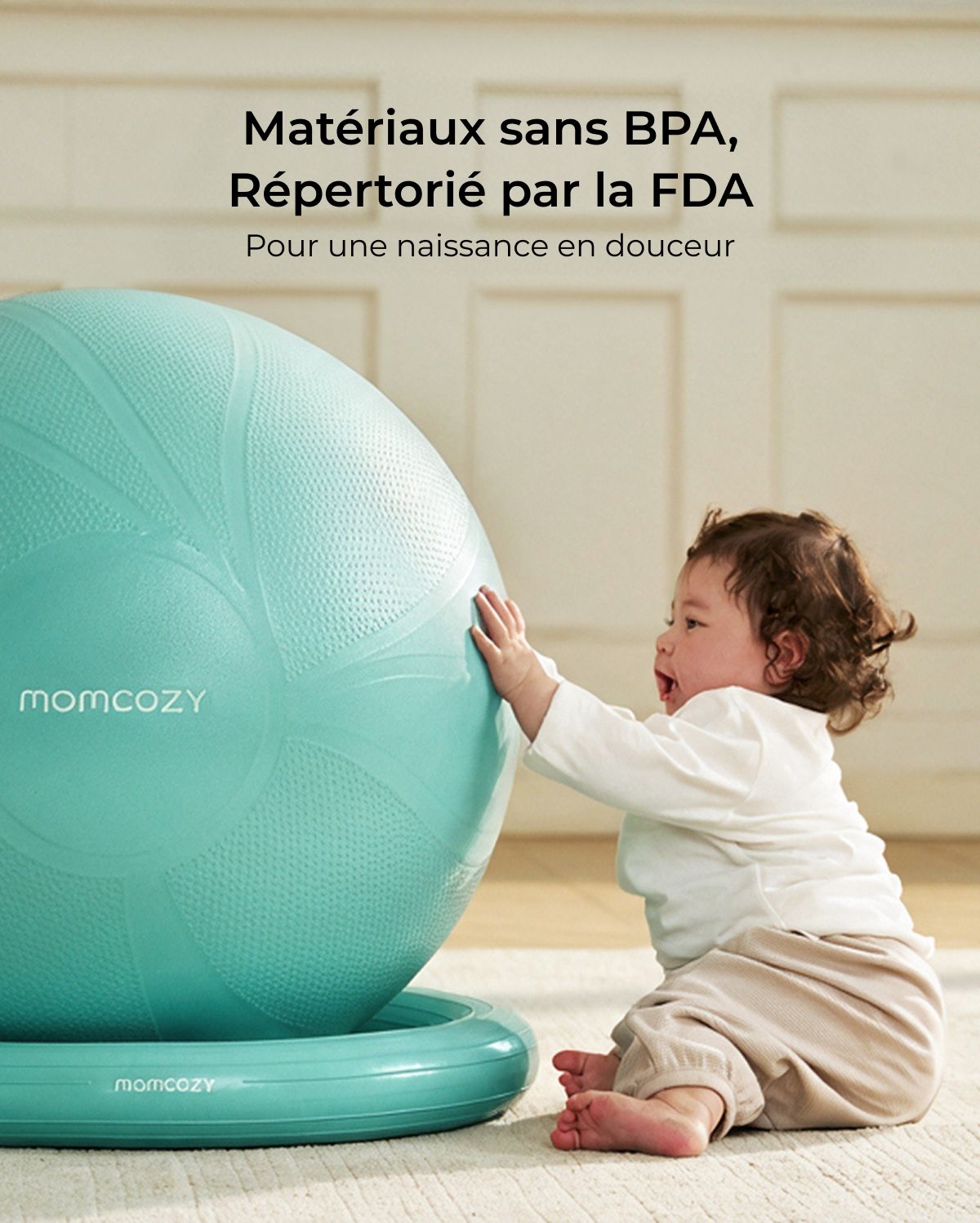 BirthEase Pregnancy Ball  Set— Birthing Ball