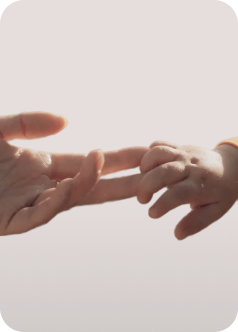 Programme de développement personnel Momcozy